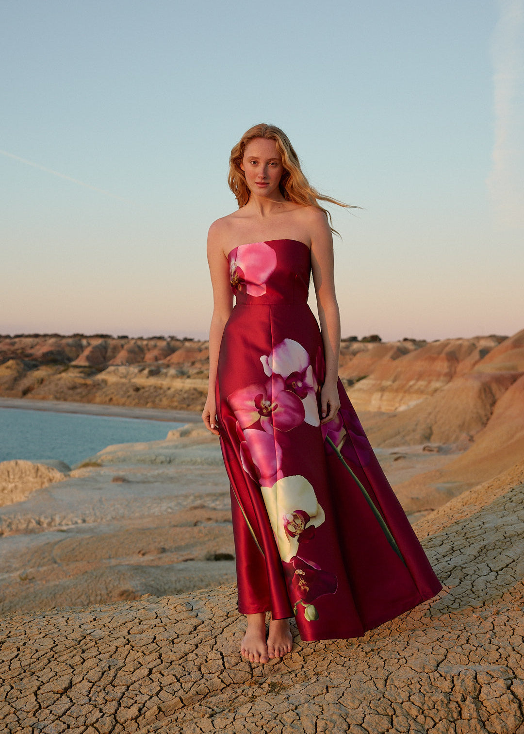 Aston Studios Audrey Dress in Redcurrant Phalae